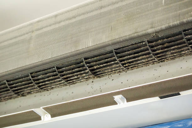 Best Affordable Air Duct Cleaning  in Gang Mills, NY